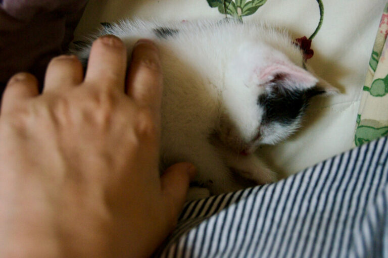 2011.06.09. 노아(Noor)